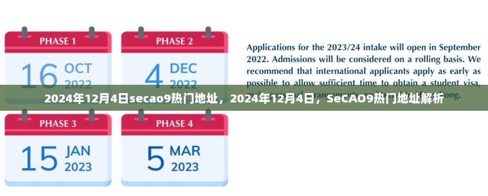 2024年12月4日SeCAO9热门地址解析