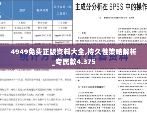 4949免费正版资料大全,持久性策略解析_专属款4.375