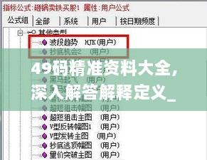 49码精准资料大全,深入解答解释定义_VIP75.821