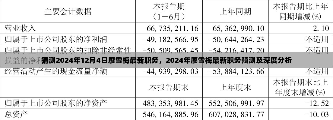 2024年廖雪梅最新职务预测及深度分析