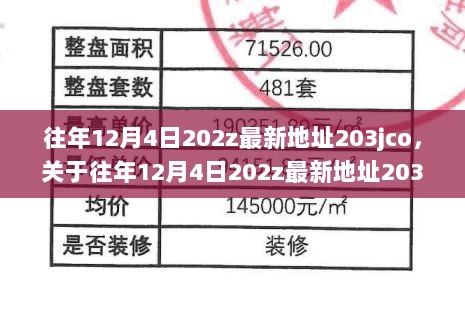 往年12月4日关于202z最新地址203jco的深度解析与观点阐述