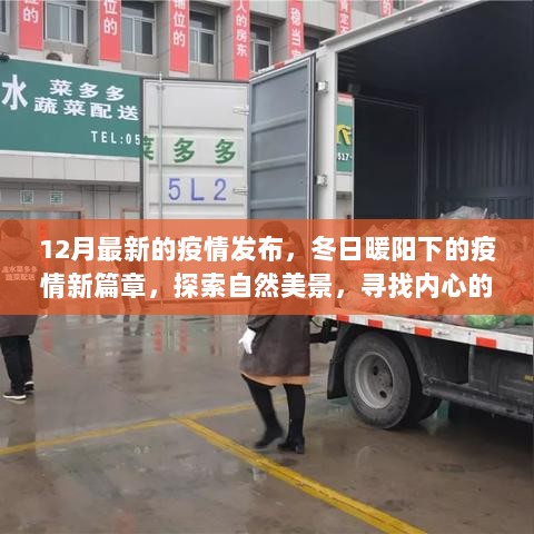 12月冬日疫情新篇章，探索自然美景，寻找内心平静的疫情探索之旅