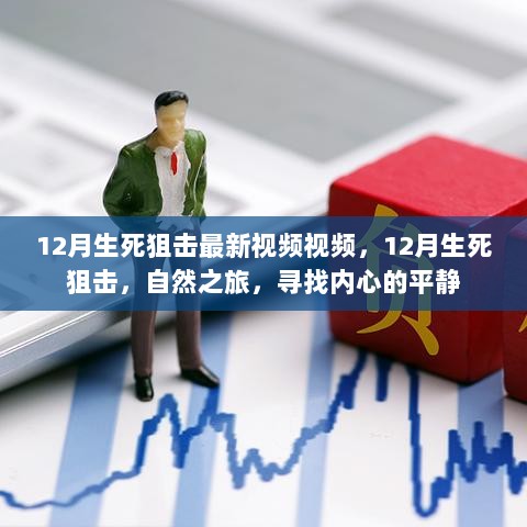 12月生死狙击，自然之旅，寻找内心的平静