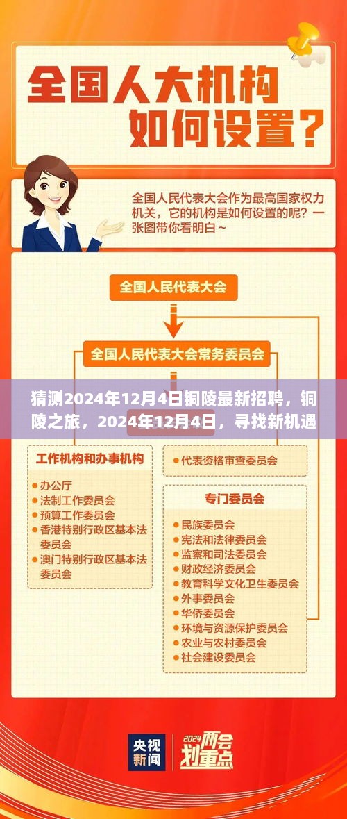 2024年12月4日铜陵最新招聘，探险之旅，寻找新机遇的铜都人才招聘会