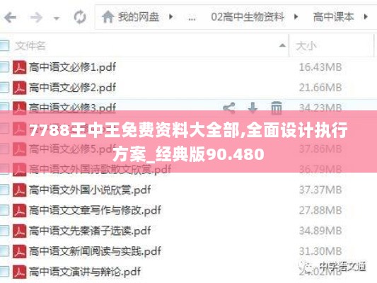 7788王中王免费资料大全部,全面设计执行方案_经典版90.480