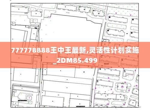 777778888王中王最新,灵活性计划实施_2DM85.499