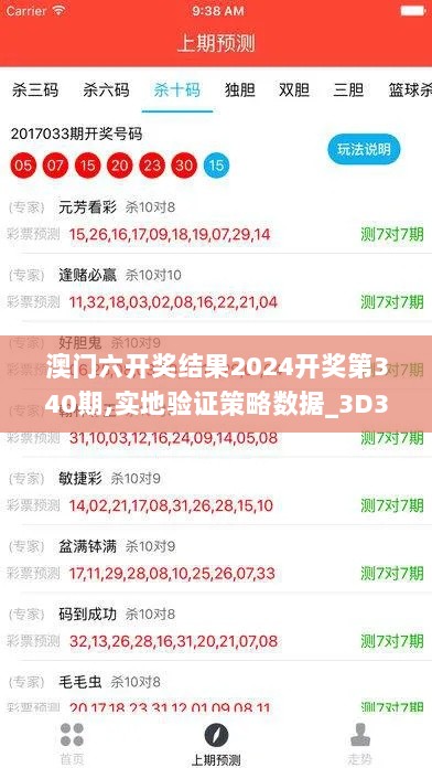 澳门六开奖结果2024开奖第340期,实地验证策略数据_3D37.781-5