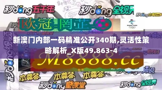 新澳门内部一码精准公开340期,灵活性策略解析_X版49.863-4