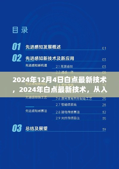 2024年白点最新技术，从入门到精通的完整指南