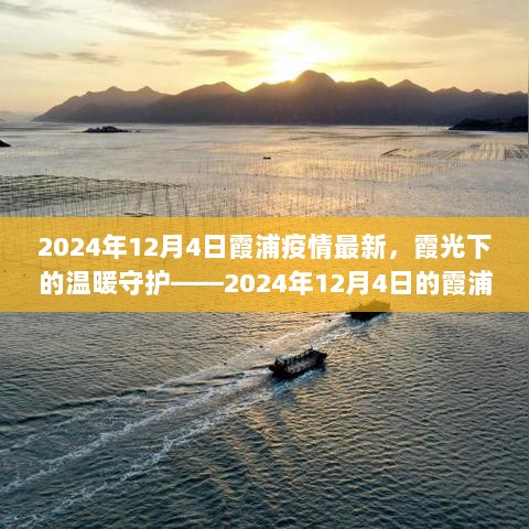 2024年12月4日霞浦疫情最新动态，霞光下的温暖守护日常