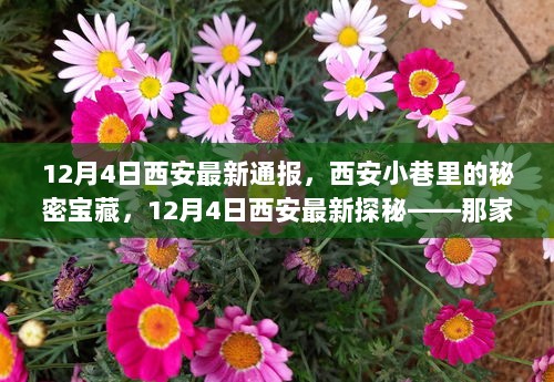 12月4日西安探秘，小巷里的秘密宝藏——特色小店揭秘