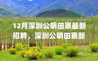 深圳公明田寮12月最新招聘，探索自然之美，寻找内心平静的新篇章