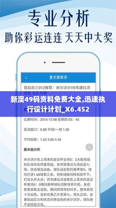 新澳49码资料免费大全,迅速执行设计计划_X6.452