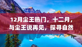 12月尘王热潮退去，探寻自然美景的旅程，与十二月说再见，迎接新风景