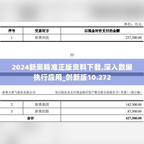 2024新奥精准正版资料下载,深入数据执行应用_创新版10.272