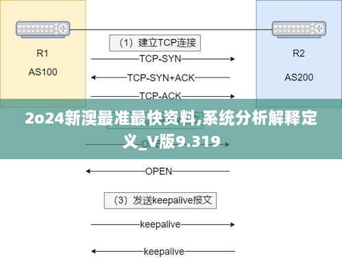 2o24新澳最准最快资料,系统分析解释定义_V版9.319