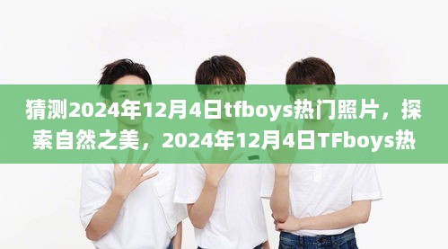 2024年12月4日TFboys自然探索之旅，热门照片猜想与自然之美的探索