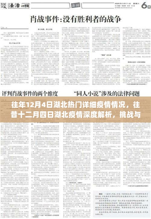 湖北十二月四日疫情深度解析与应对挑战