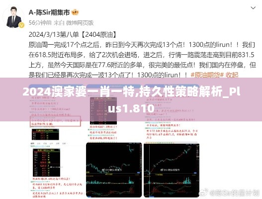 2024澳家婆一肖一特,持久性策略解析_Plus1.810