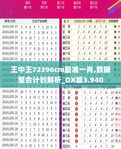 王中王72396cm最准一肖,数据整合计划解析_DX版3.940