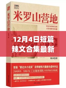 12月4日历史交汇的短篇辣文纪实合集