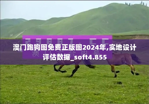 澳门跑狗图免费正版图2024年,实地设计评估数据_soft4.855