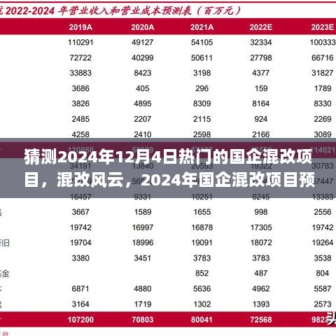 2024年国企混改项目预测与励志同行，混改风云中的热门项目展望