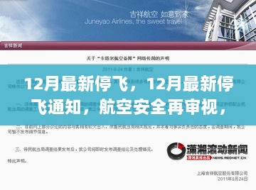 12月航空安全审视，最新停飞通知及影响原因解析