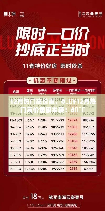 12月热门高价重磅商品来袭！