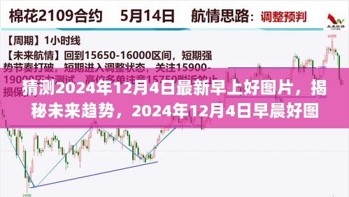 2024年12月6日 第19页