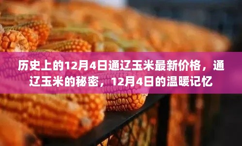 通辽玉米价格之谜，历史12月4日的温暖记忆与秘密