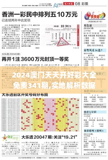 2024澳门天天开好彩大全免费341期,实地解析数据考察_AR10.974