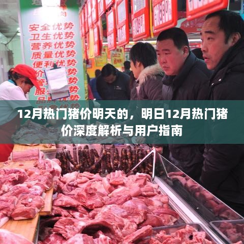 12月热门猪价深度解析与明日走势预测，用户指南