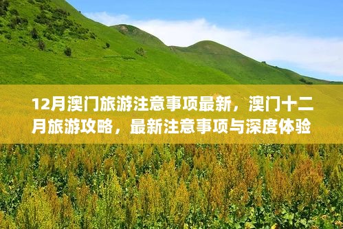 12月澳门旅游攻略与最新注意事项，深度体验与准备须知