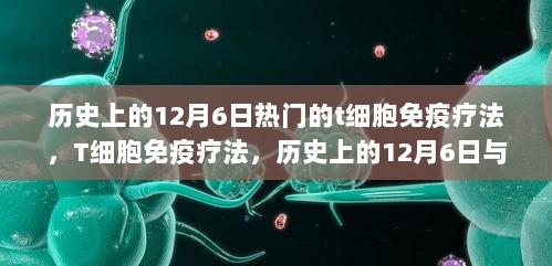 历史上的12月6日，T细胞免疫疗法的新篇章开启