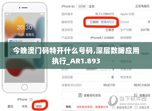今晚澳门码特开什么号码,深层数据应用执行_AR1.893