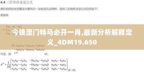 今晚澳门特马必开一肖,最新分析解释定义_4DM19.650