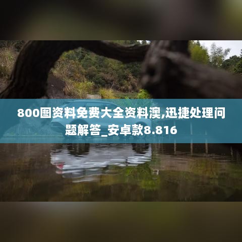 800图资料免费大全资料澳,迅捷处理问题解答_安卓款8.816