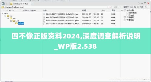 四不像正版资料2024,深度调查解析说明_WP版2.538