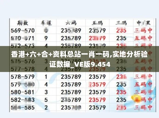 香港+六+合+资料总站一肖一码,实地分析验证数据_VE版9.454