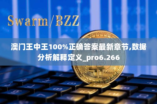 澳门王中王100%正确答案最新章节,数据分析解释定义_pro6.266