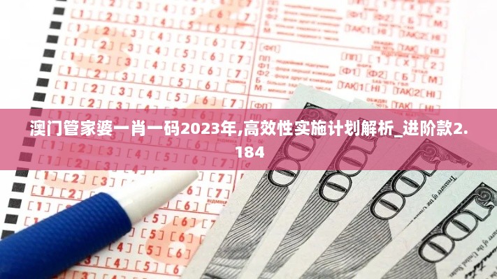 澳门管家婆一肖一码2023年,高效性实施计划解析_进阶款2.184