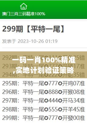 一码一肖100%精准,实地计划验证策略_2D9.694