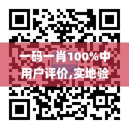 一码一肖100%中用户评价,实地验证数据分析_SP7.665