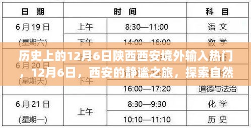 12月6日西安，历史与自然交织的静谧之旅