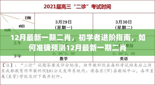 12月最新一期二肖预测，初学者进阶指南