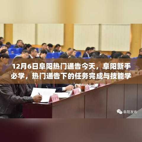 12月6日阜阳热门通告与任务完成及技能学习步骤指南