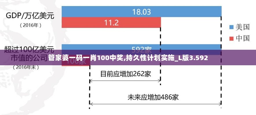 管家婆一码一肖100中奖,持久性计划实施_L版3.592