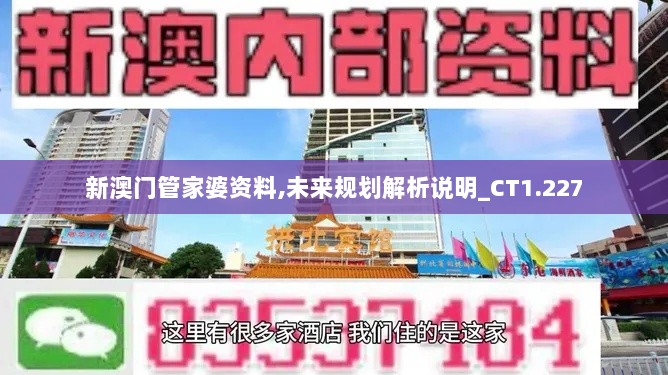 新澳门管家婆资料,未来规划解析说明_CT1.227