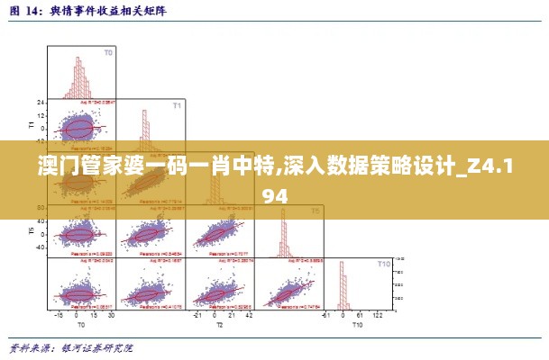 澳门管家婆一码一肖中特,深入数据策略设计_Z4.194